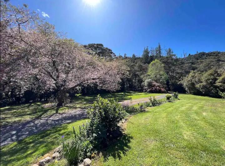Coromandel Secluded Log Cabin Retreat Hikuai Exterior foto